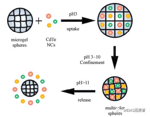 前言技术分享——用于及时诊断的荧光微球-5