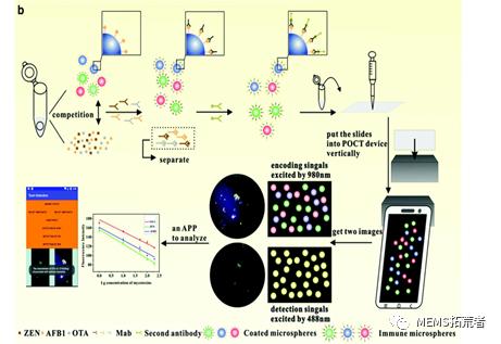 基于POCT平台的荧光微球的检测-1