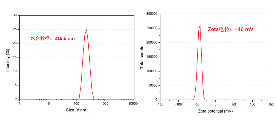 水合粒径&Zeta电位