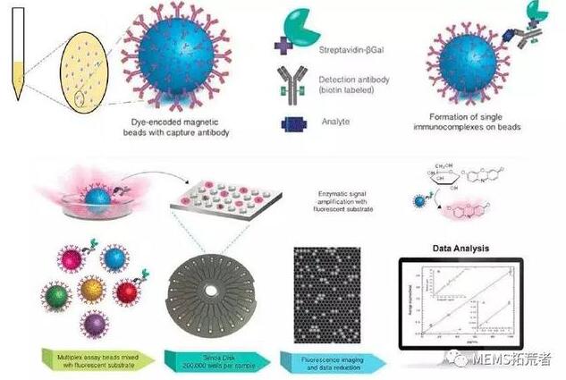 前言技术分享——用于及时诊断的荧光微球-9-9